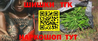 СК Абакан