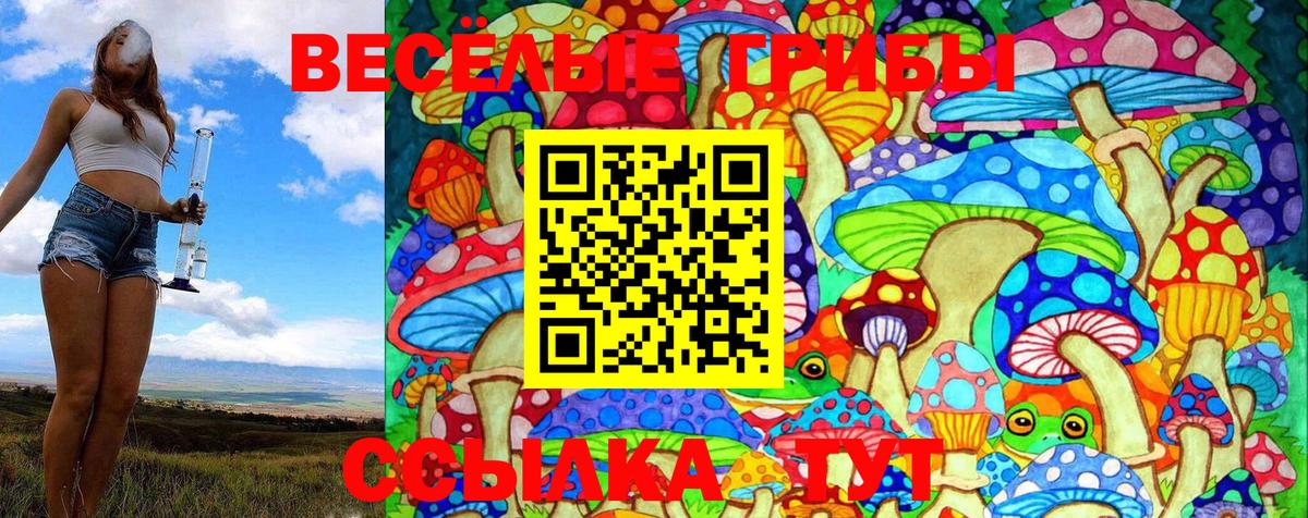 Псилоцибиновые грибы Psilocybe Альметьевск